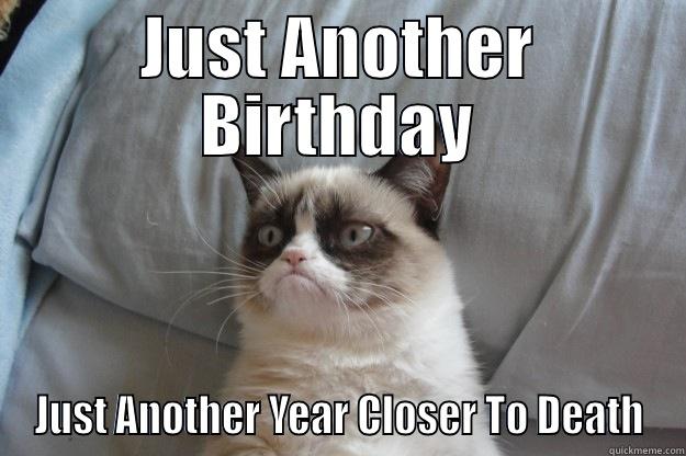 JUST ANOTHER BIRTHDAY JUST ANOTHER YEAR CLOSER TO DEATH Grumpy Cat