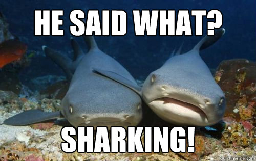 He said what? Sharking! - He said what? Sharking!  Compassionate Shark Friend