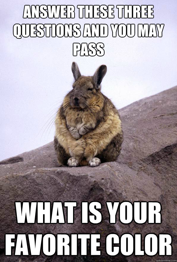 Answer these three questions and you may pass What is your favorite color  Wise Wondering Viscacha