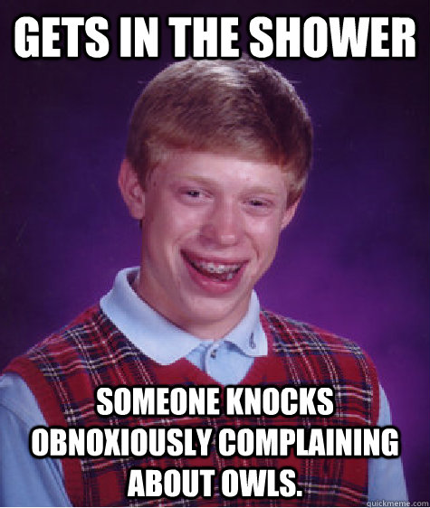 Gets in the shower Someone knocks obnoxiously complaining about owls. - Gets in the shower Someone knocks obnoxiously complaining about owls.  Bad Luck Brian