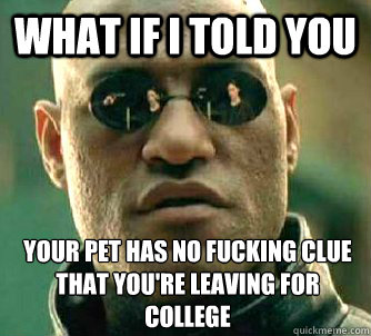 What if I told you Your pet has no fucking clue that you're leaving for college  What if I told you