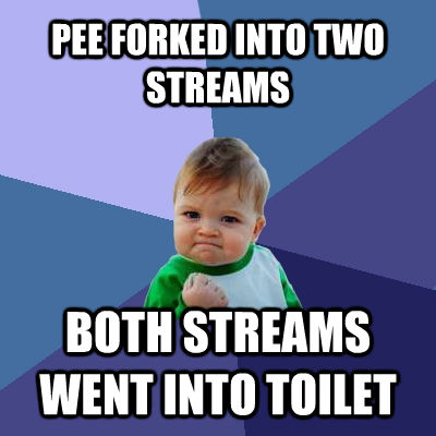 PEE FORKED INTO TWO STREAMS BOTH STREAMS WENT INTO TOILET  Success Kid