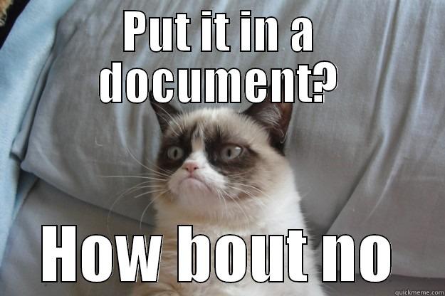 PUT IT IN A DOCUMENT? HOW BOUT NO Grumpy Cat