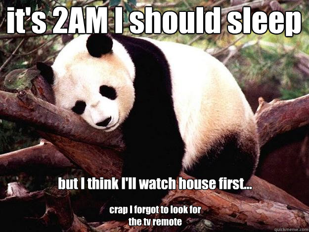 it's 2AM I should sleep but I think I'll watch house first... crap I forgot to look for the tv remote  Procrastination Panda