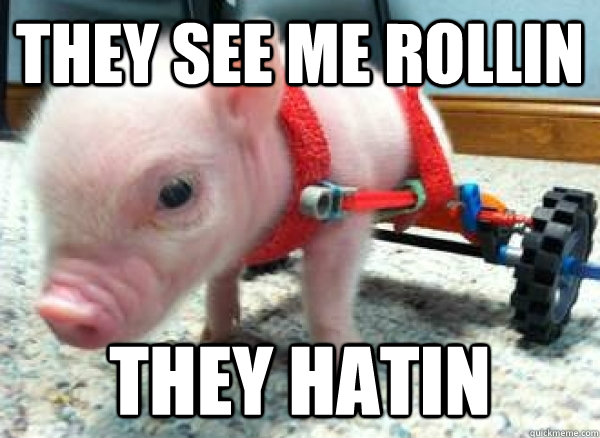 THEY SEE ME ROLLIN THEY HATIN - THEY SEE ME ROLLIN THEY HATIN  Riding dirty pig