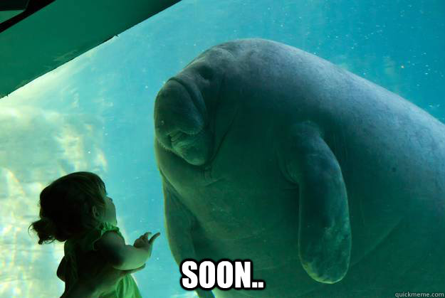  soon.. -  soon..  Overlord Manatee