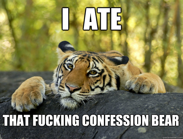 I   Ate That fucking confession bear  Confession Tiger