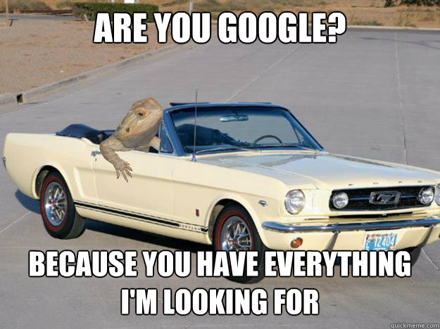 Are you google? because you have everything I'm looking for

  Pickup Dragon