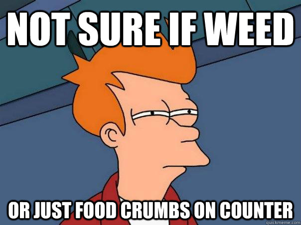 Not sure if weed Or just food crumbs on counter - Not sure if weed Or just food crumbs on counter  Futurama Fry