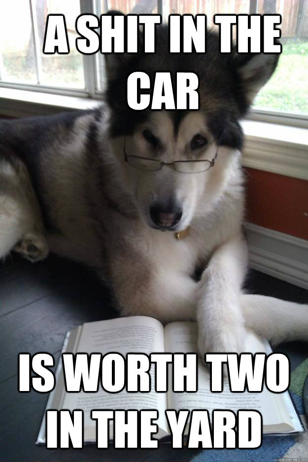 a shit in the car Is worth two in the yard  Condescending Literary Pun Dog