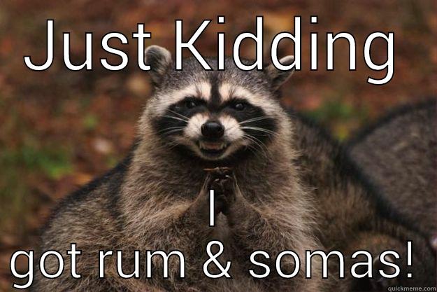 It's party time - JUST KIDDING I GOT RUM & SOMAS! Evil Plotting Raccoon