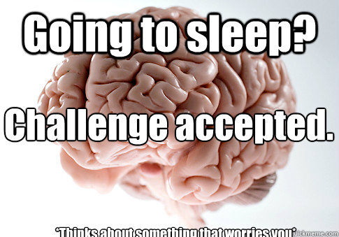 Going to sleep? *Thinks about something that worries you* Challenge accepted.  Scumbag Brain