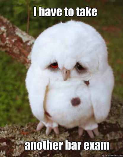       I have to take                                                          another bar exam  Depressed Baby Owl