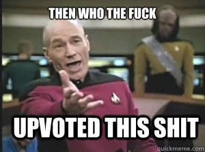 Then who the fuck  upvoted this shit - Then who the fuck  upvoted this shit  Annoyed Picard