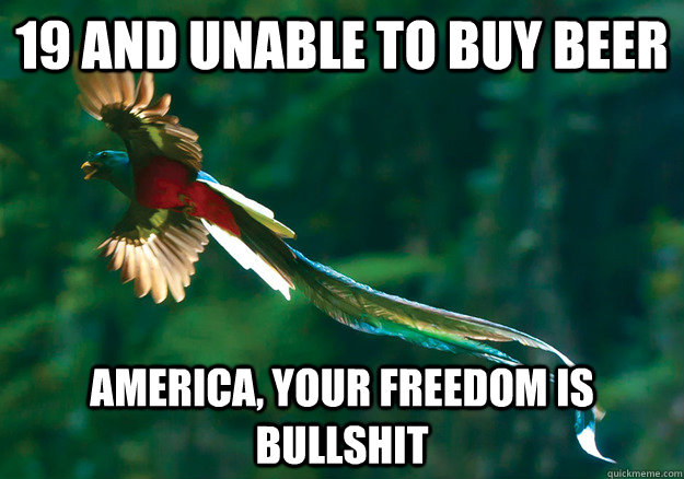 19 and unable to buy beer America, your freedom is bullshit - 19 and unable to buy beer America, your freedom is bullshit  Mighty Quetzal