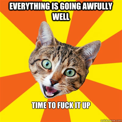 everything is going awfully well time to fuck it up  Bad Advice Cat