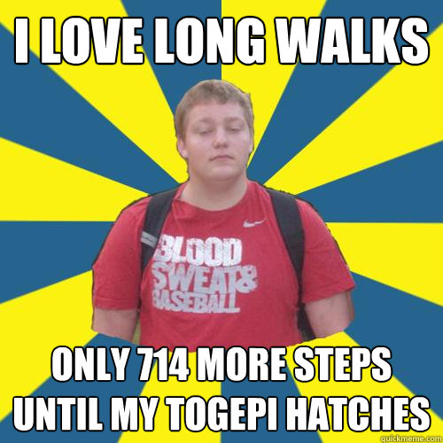 I LOVE LONG WALKS ONLY 714 MORE STEPS UNTIL MY TOGEPI HATCHES   