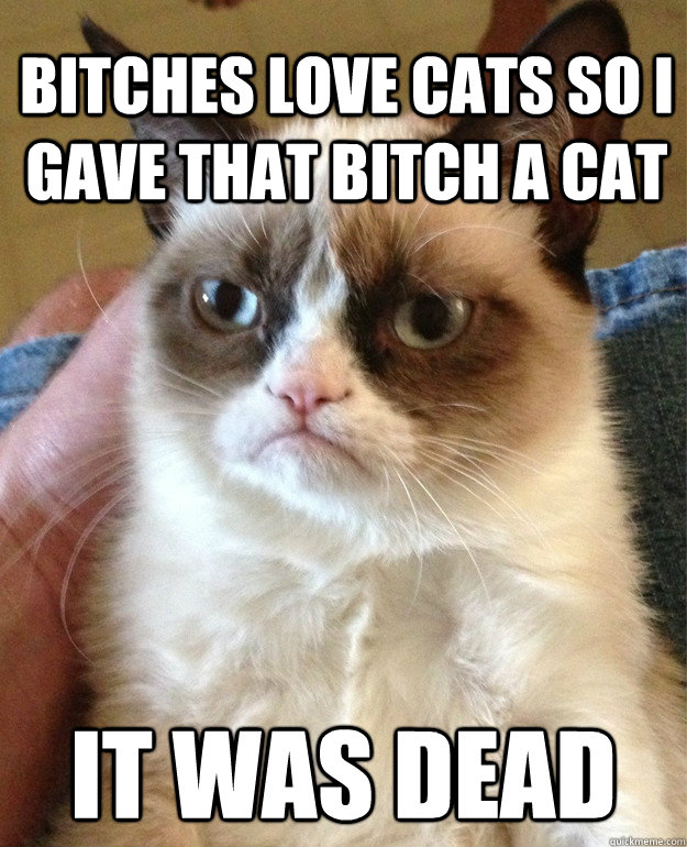 bitches love cats so i gave that bitch a cat it was dead  Grumpy Cat