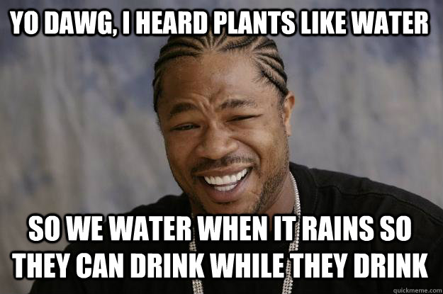 Yo dawg, i heard plants like water So we water when it rains so they can drink while they drink  Xzibit meme