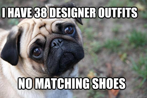I have 38 designer outfits no matching shoes  First World Dog problems