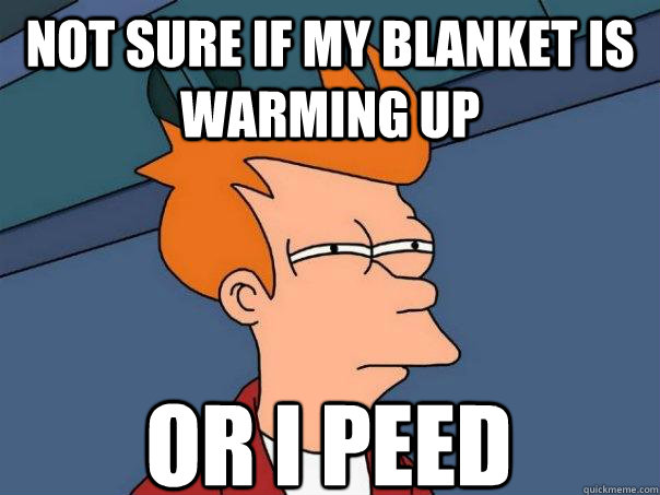 Not sure if my blanket is warming up Or I peed  Futurama Fry