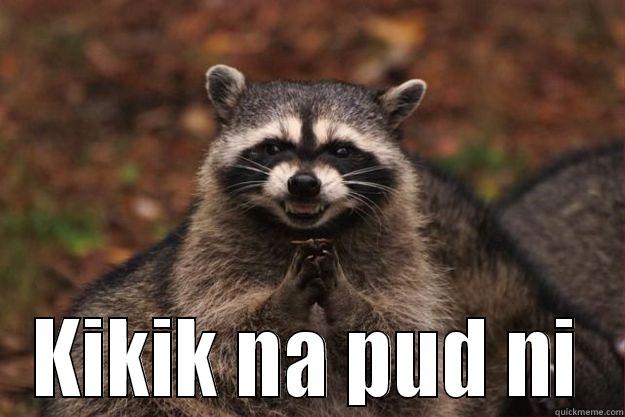  KIKIK NA PUD NI Evil Plotting Raccoon