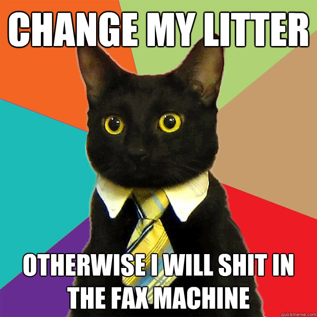 change my litter otherwise i will shit in the fax machine  Business Cat