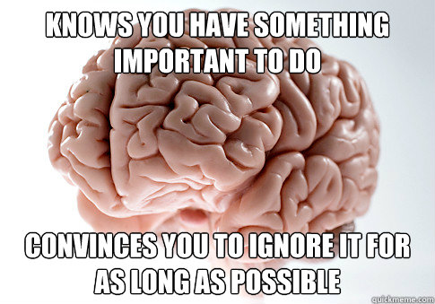 Knows you have something important to do Convinces you to ignore it for as long as possible - Knows you have something important to do Convinces you to ignore it for as long as possible  Scumbag Brain