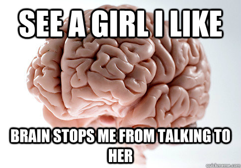 See a girl i like Brain stops me from talking to her  Scumbag Brain