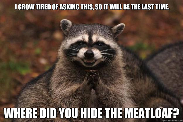 I grow tired of asking this, so it will be the last time. Where did you hide the meatloaf? - I grow tired of asking this, so it will be the last time. Where did you hide the meatloaf?  Evil Plotting Raccoon