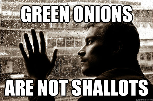 green onions are not shallots  Over-Educated Problems