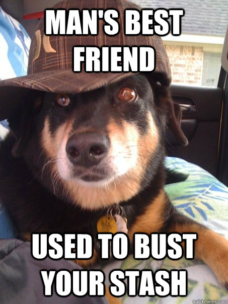 man's best friend used to bust your stash  Scumbag dog