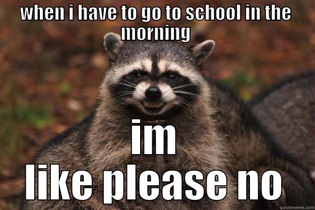   - WHEN I HAVE TO GO TO SCHOOL IN THE MORNING IM LIKE PLEASE NO Evil Plotting Raccoon