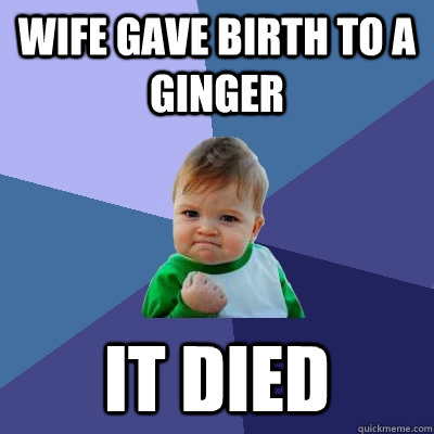 wife gave birth to a ginger it died  Success Kid