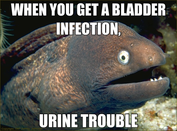 WHEN YOU GET A BLADDER INFECTION, URINE TROUBLE - WHEN YOU GET A BLADDER INFECTION, URINE TROUBLE  Bad Joke Eel