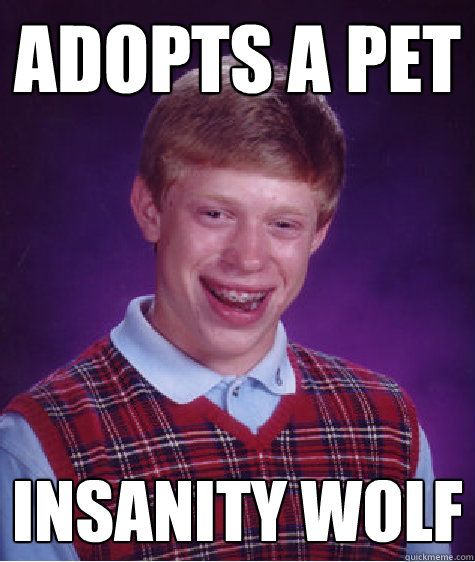 Adopts a pet Insanity Wolf  Bad Luck Brian