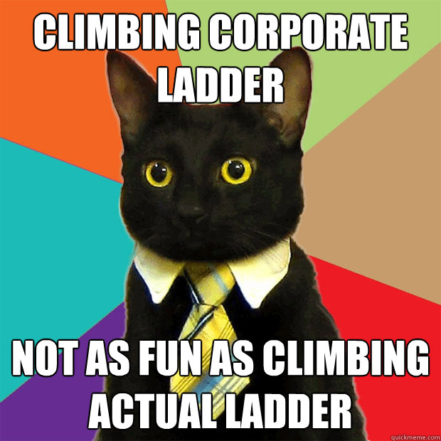 Climbing corporate ladder Not as fun as climbing actual ladder  Business Cat