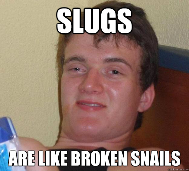 Slugs are like broken snails  10 Guy