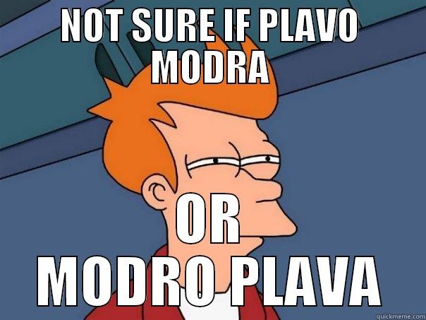 NOT SURE IF PLAVO MODRA OR MODRO PLAVA Futurama Fry