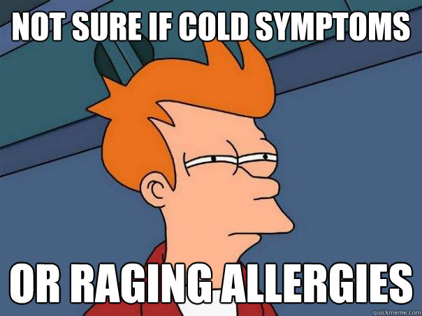 Not sure if cold symptoms Or raging allergies  Futurama Fry