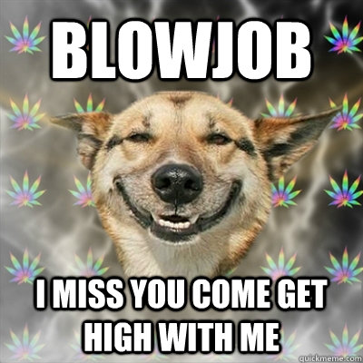 BLOWJOB I MISS YOU COME GET HIGH WITH ME  Stoner Dog