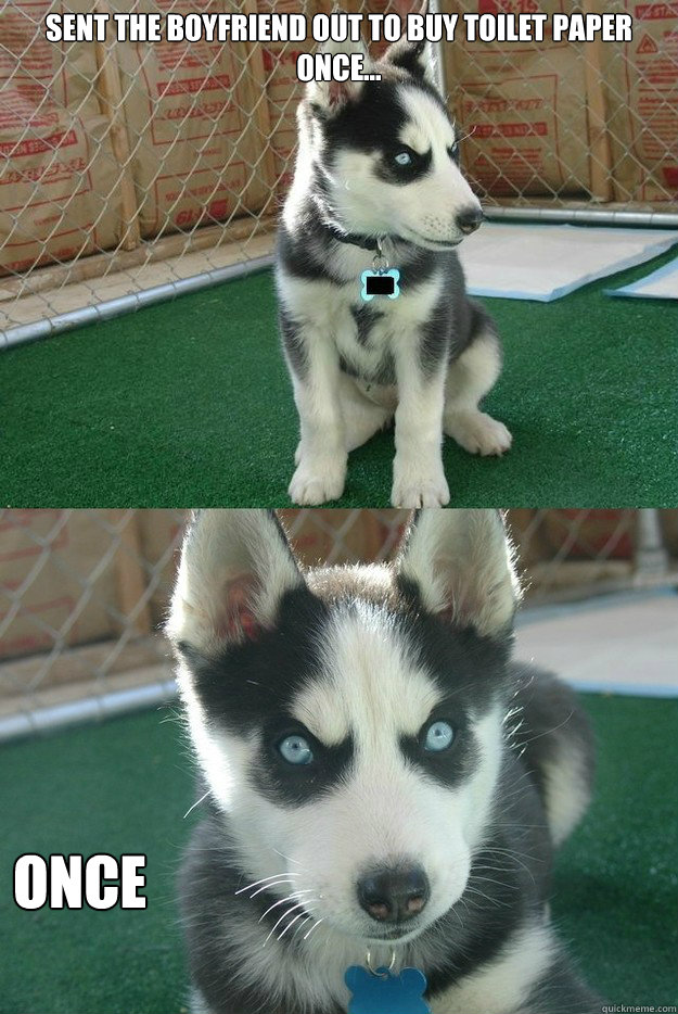 sent the boyfriend out to buy toilet paper once... once  Insanity puppy