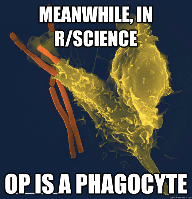 meanwhile, in r/science OP IS A PHAGOCYTE - meanwhile, in r/science OP IS A PHAGOCYTE  Misc