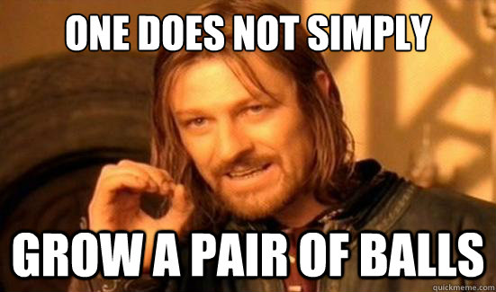 One Does Not Simply grow a pair of balls - One Does Not Simply grow a pair of balls  Boromir