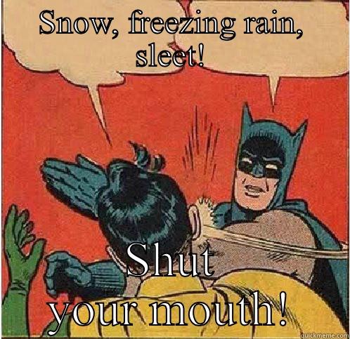 SNOW, FREEZING RAIN, SLEET! SHUT YOUR MOUTH! Batman Slapping Robin