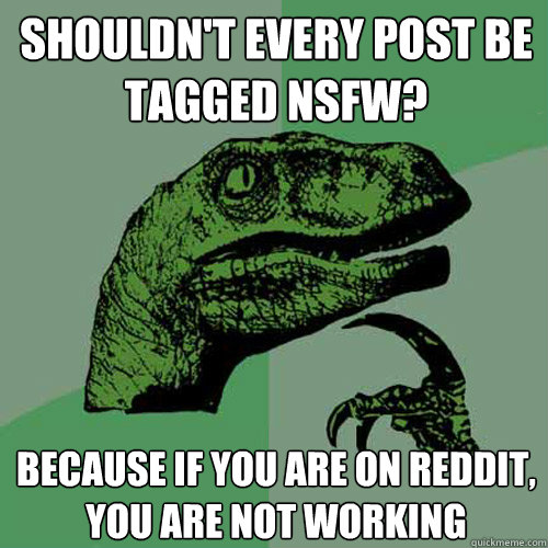 SHouldn't every post be tagged NSFW? Because if you are on reddit, you are not working - SHouldn't every post be tagged NSFW? Because if you are on reddit, you are not working  Philosoraptor