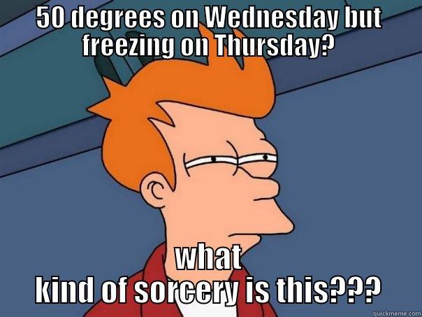 50 DEGREES ON WEDNESDAY BUT FREEZING ON THURSDAY? WHAT KIND OF SORCERY IS THIS??? Futurama Fry