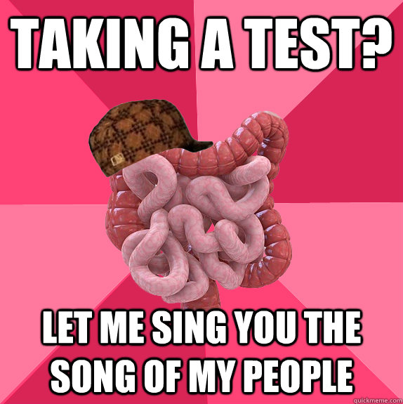 Taking a test? Let me sing you the song of my people  Scumbag Intestines