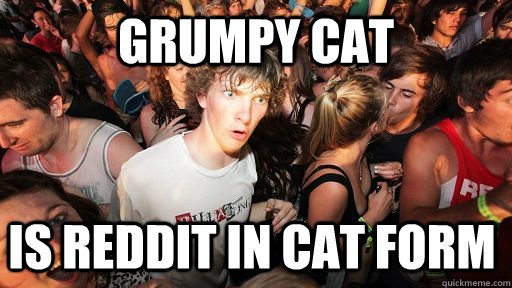 Grumpy Cat Is reddit in cat form   Sudden Clarity Clarence