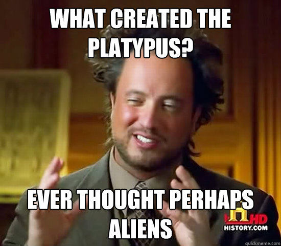 what created the Platypus? Ever thought perhaps Aliens  Ancient Aliens